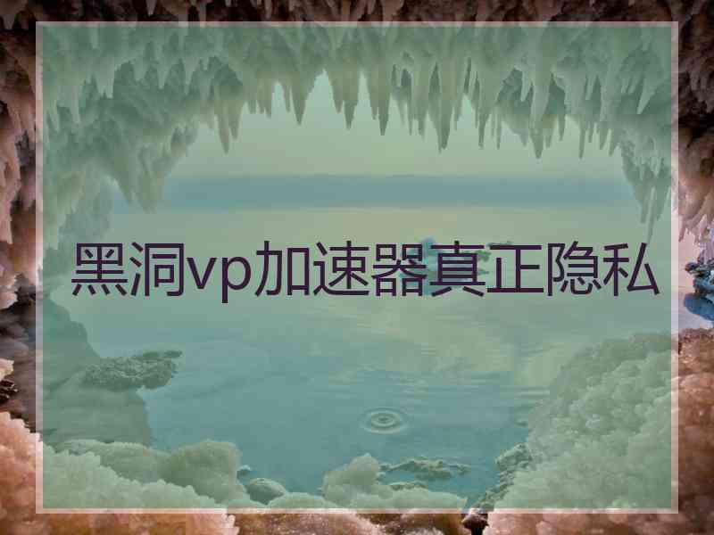 黑洞vp加速器真正隐私