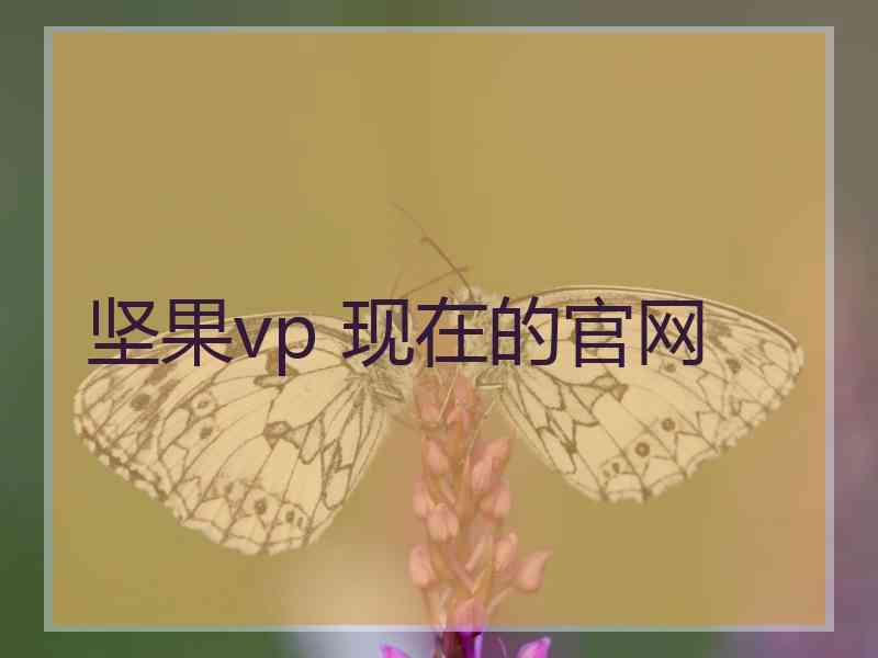 坚果vp 现在的官网