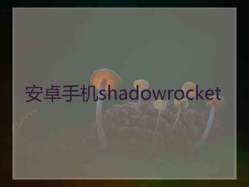 安卓手机shadowrocket