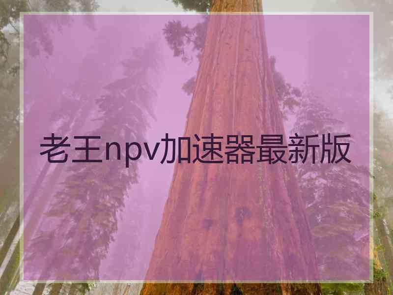 老王npv加速器最新版