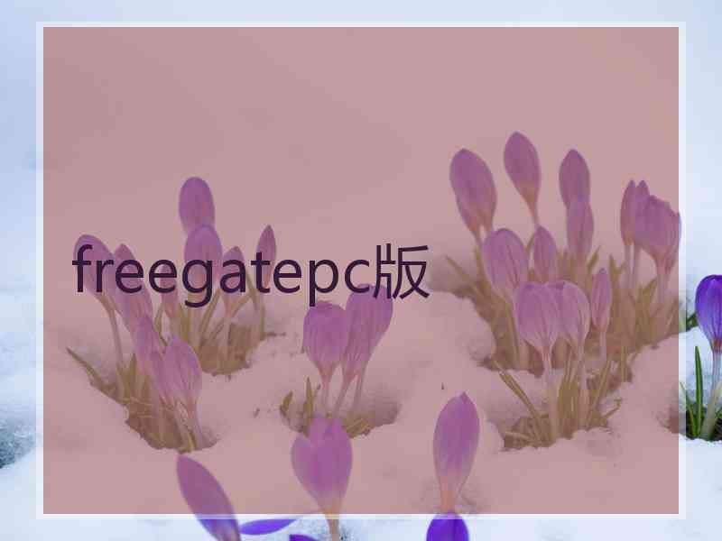 freegatepc版