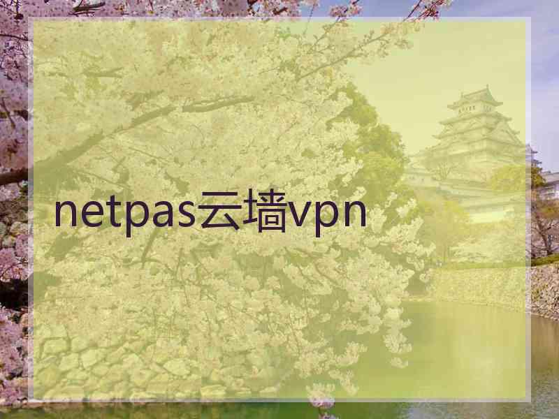 netpas云墙vpn