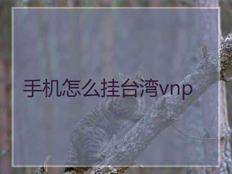 手机怎么挂台湾vnp