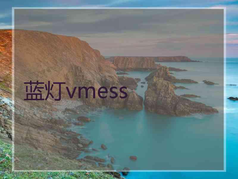 蓝灯vmess