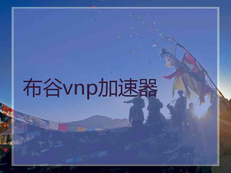 布谷vnp加速器