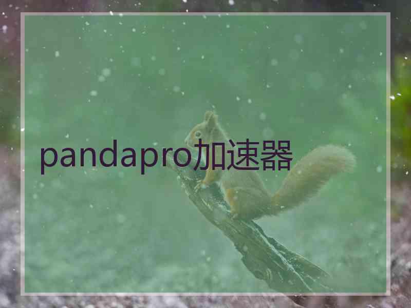 pandapro加速器