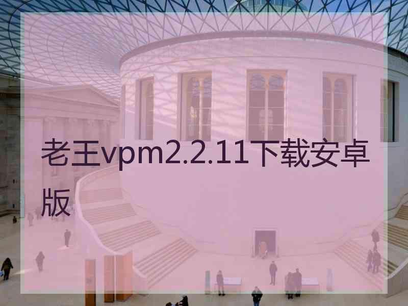 老王vpm2.2.11下载安卓版