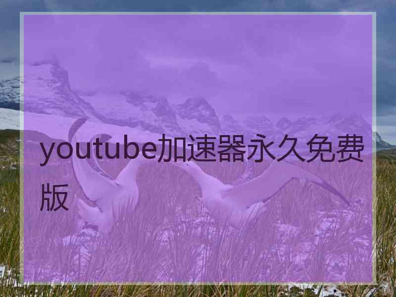 youtube加速器永久免费版