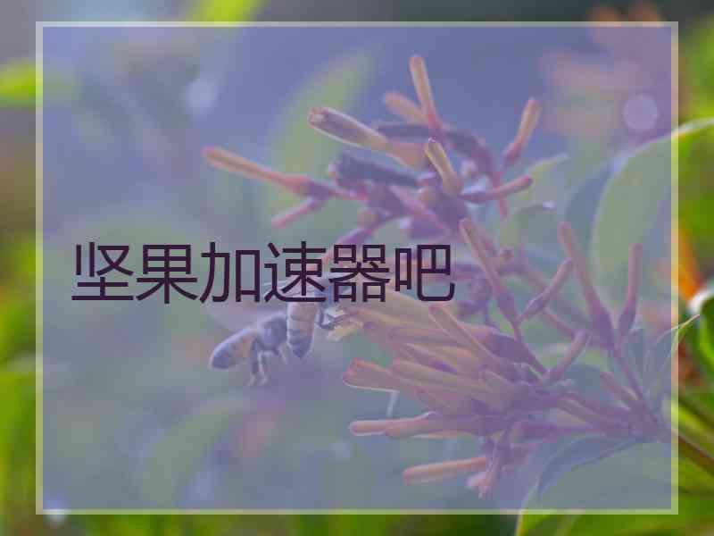 坚果加速器吧