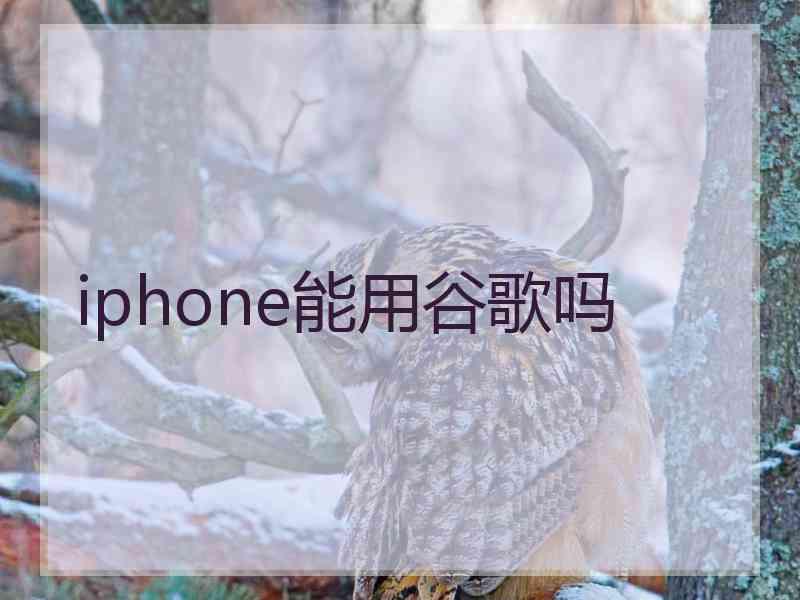 iphone能用谷歌吗