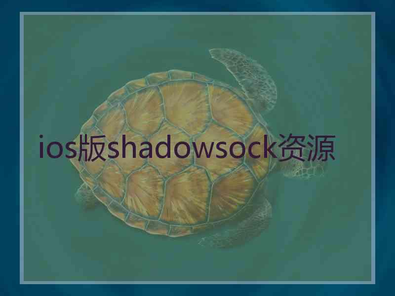 ios版shadowsock资源