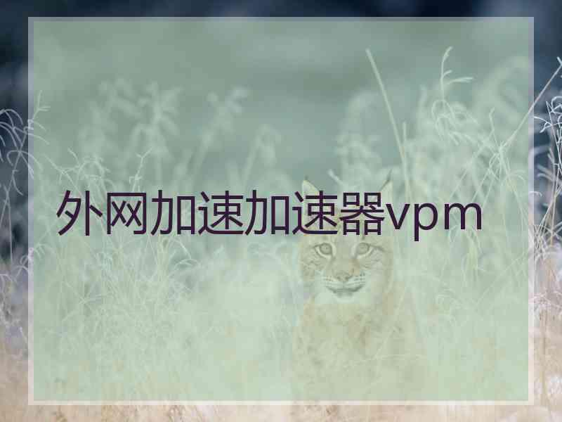 外网加速加速器vpm