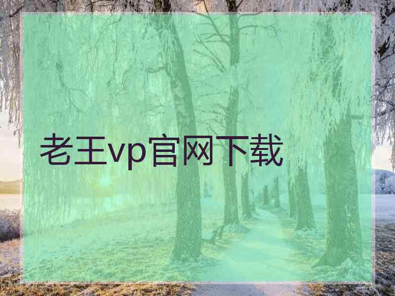 老王vp官网下载