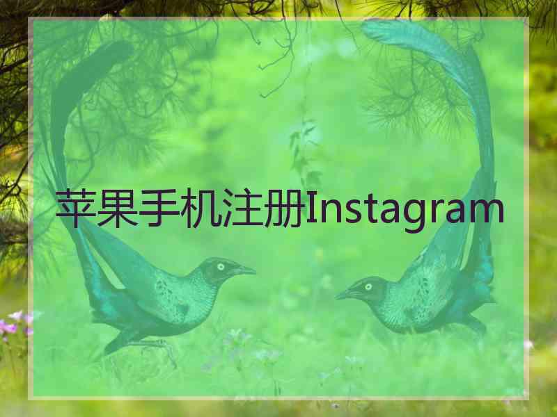 苹果手机注册Instagram