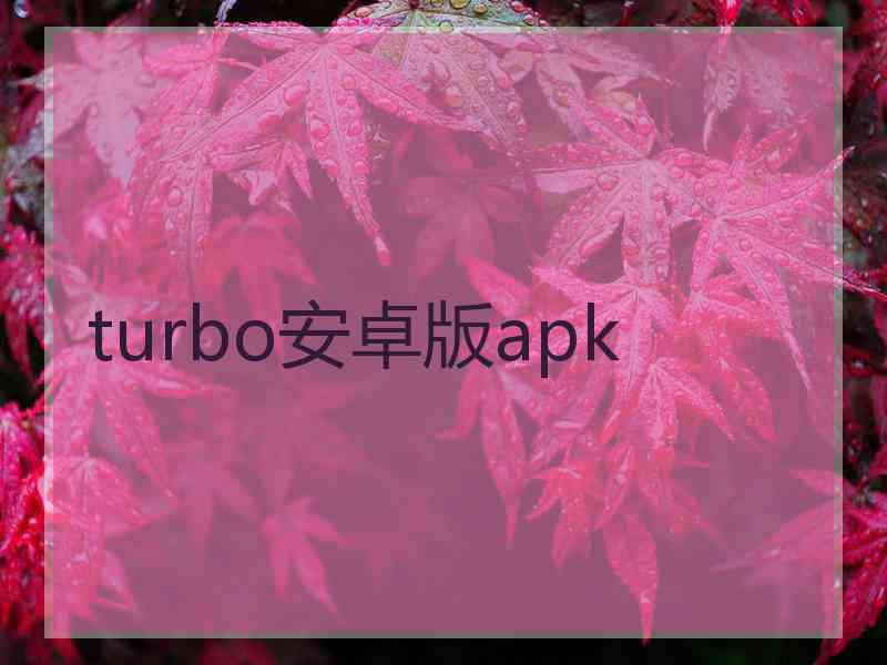 turbo安卓版apk