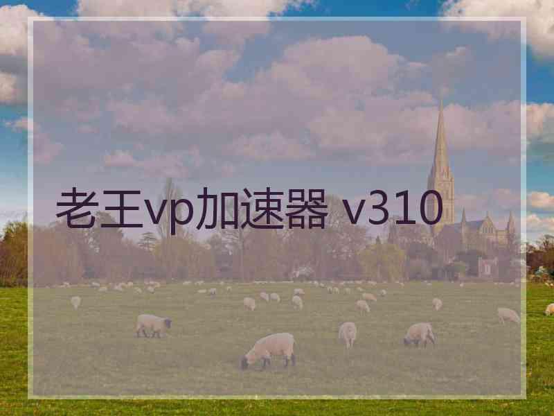 老王vp加速器 v310