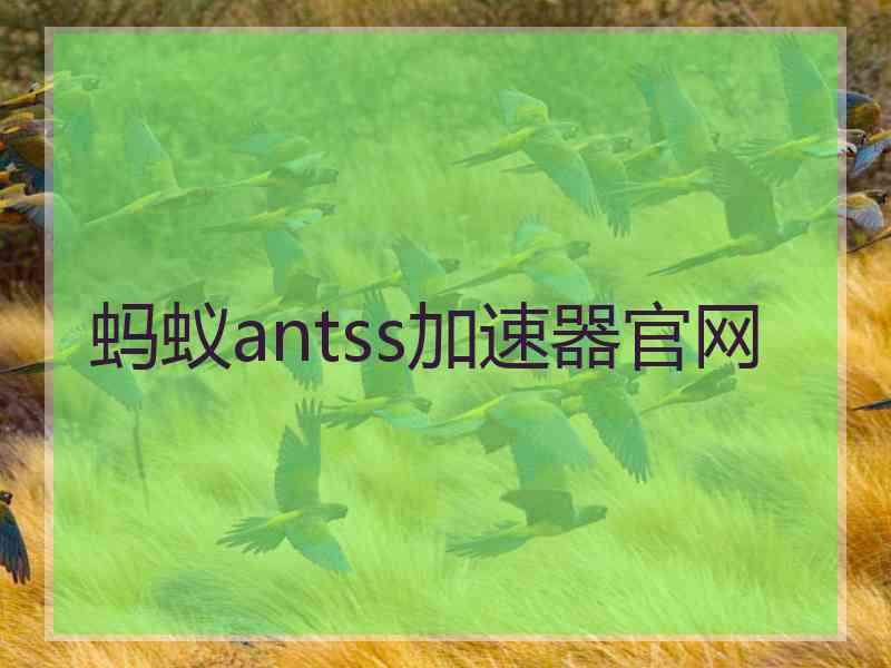 蚂蚁antss加速器官网