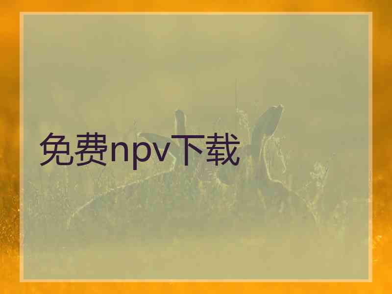 免费npv下载