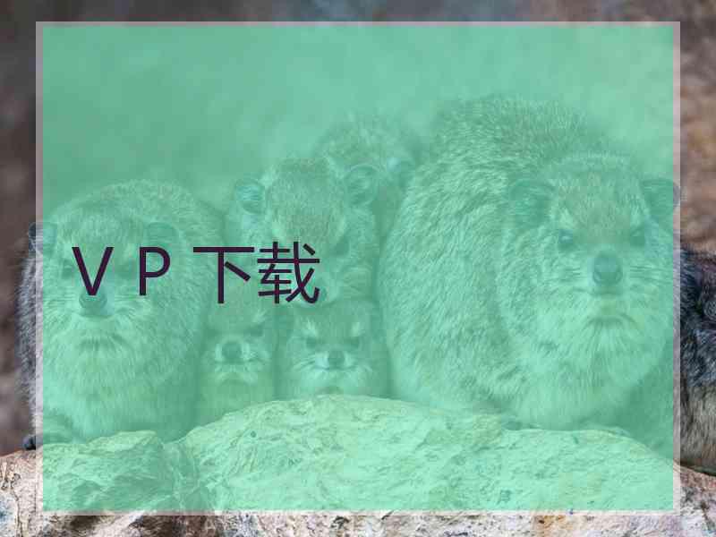 V P 下载