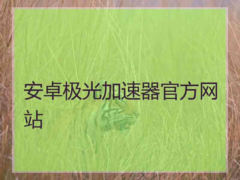 安卓极光加速器官方网站