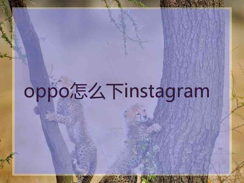 oppo怎么下instagram