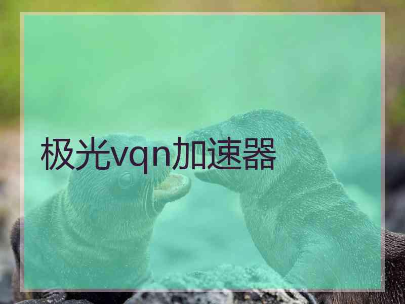 极光vqn加速器