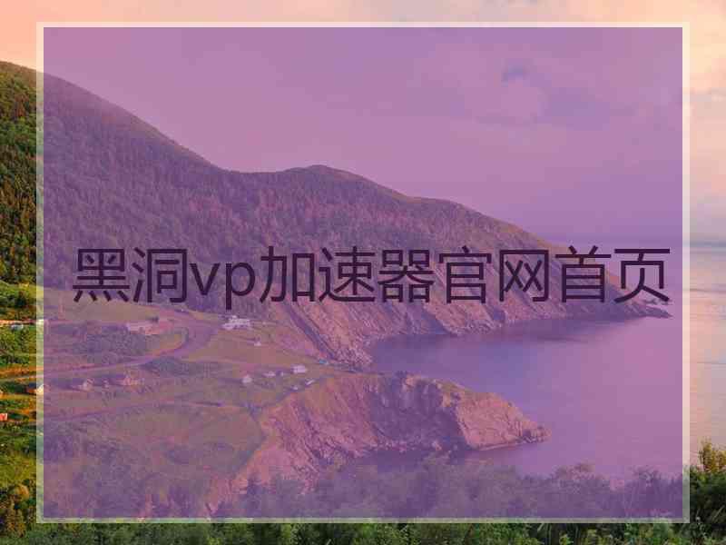 黑洞vp加速器官网首页