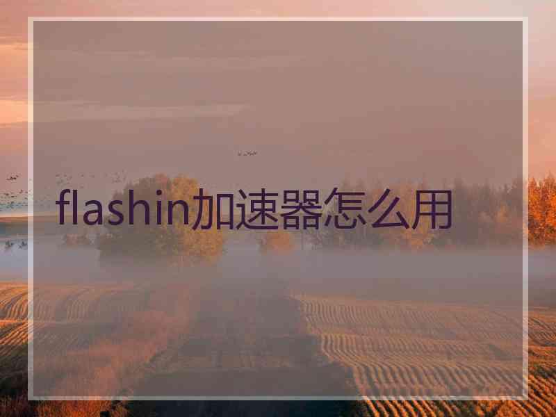 flashin加速器怎么用