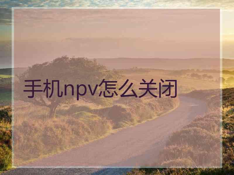 手机npv怎么关闭