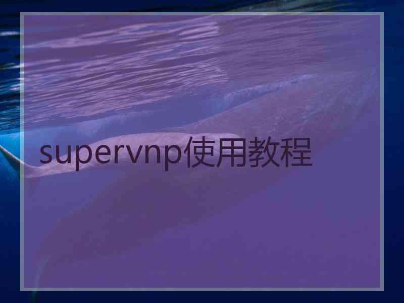 supervnp使用教程