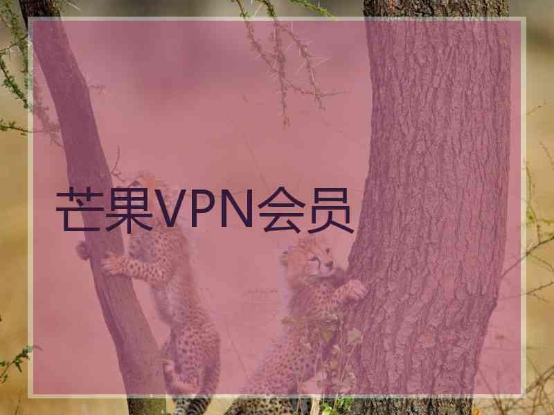 芒果VPN会员