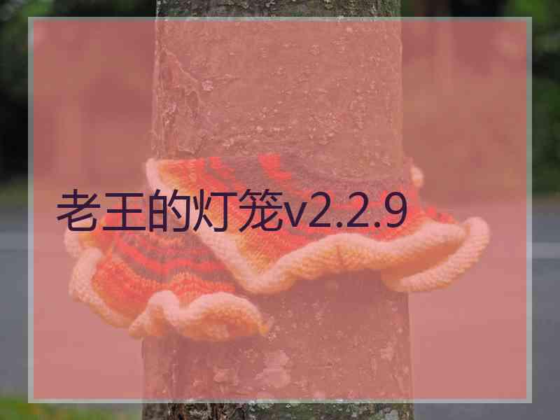 老王的灯笼v2.2.9