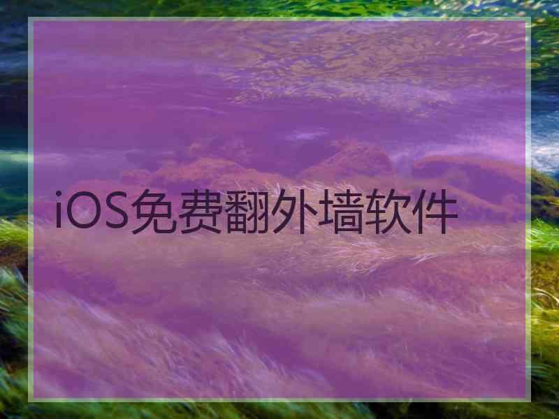 iOS免费翻外墙软件