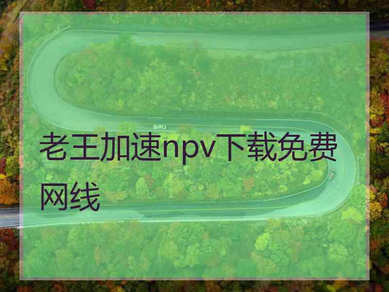 老王加速npv下载免费网线