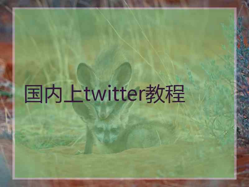 国内上twitter教程