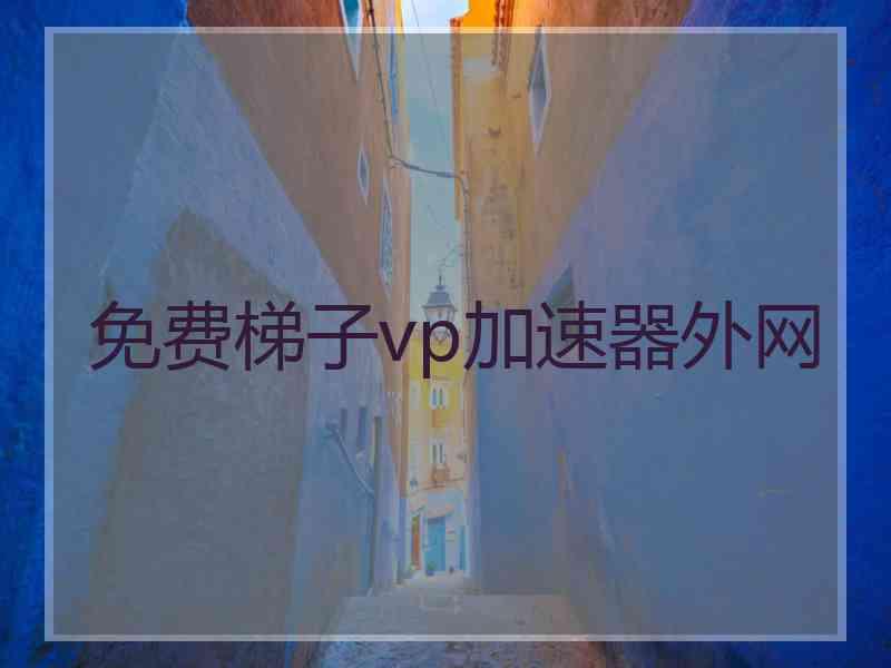 免费梯子vp加速器外网