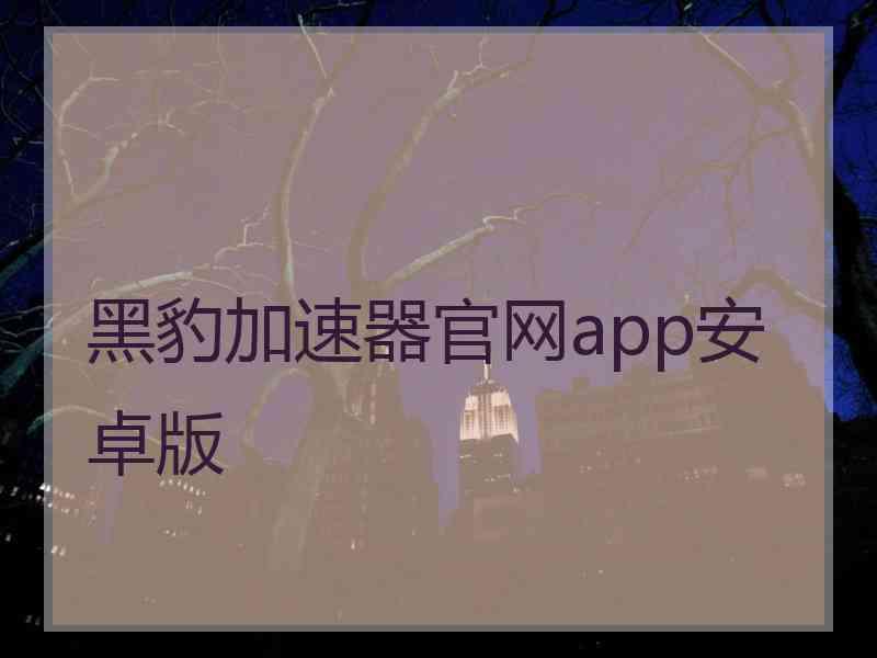 黑豹加速器官网app安卓版