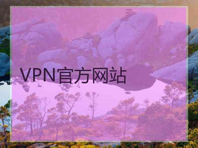 VPN官方网站