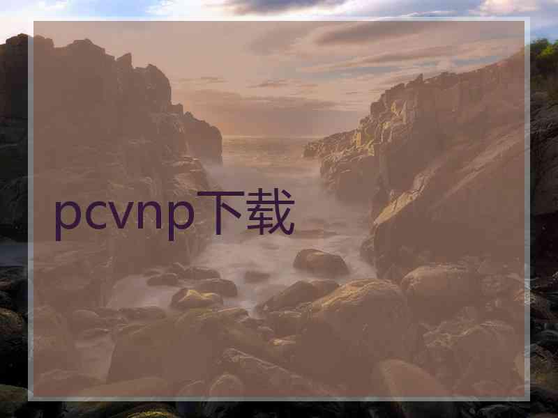 pcvnp下载