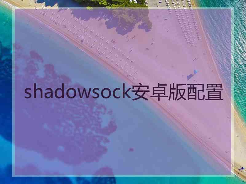 shadowsock安卓版配置