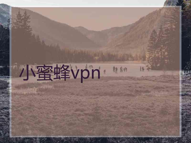 小蜜蜂vpn