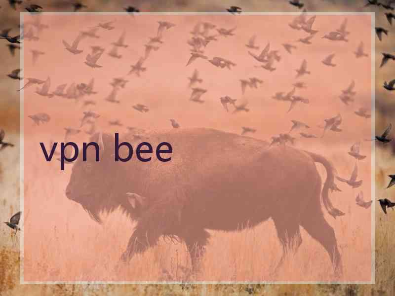 vpn bee