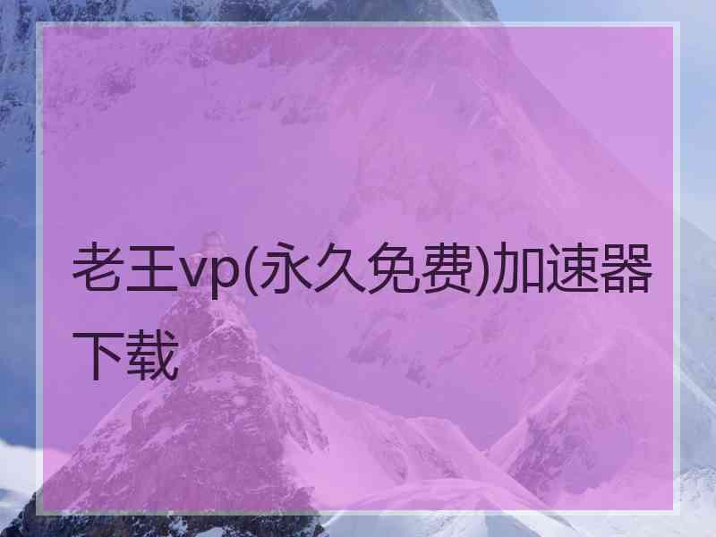 老王vp(永久免费)加速器下载