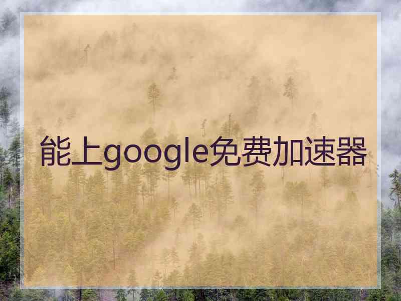 能上google免费加速器