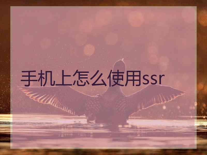 手机上怎么使用ssr