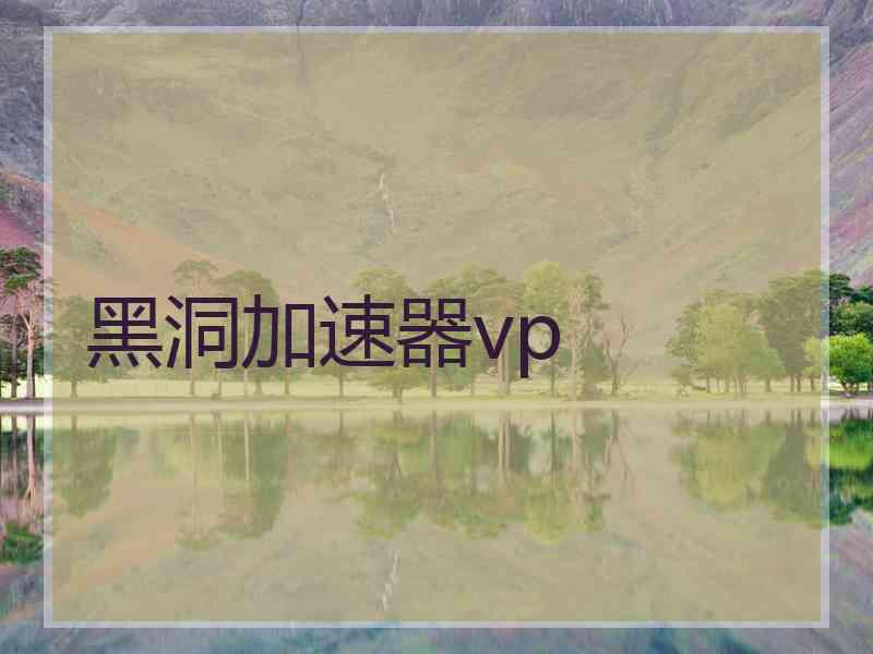 黑洞加速器vp