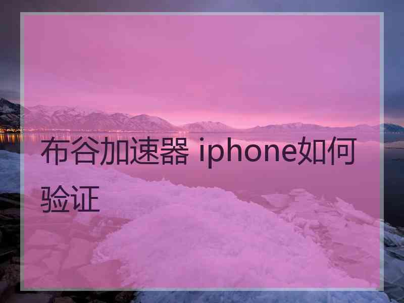 布谷加速器 iphone如何验证