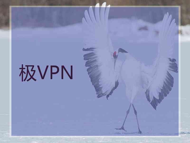 极VPN