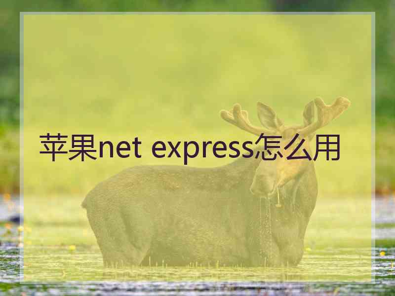 苹果net express怎么用