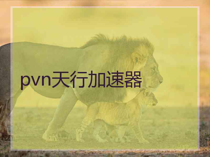 pvn天行加速器